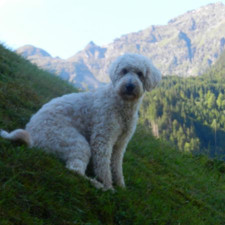 Unser Kleines Bauernhaus マリア・ルッガウ エクステリア 写真