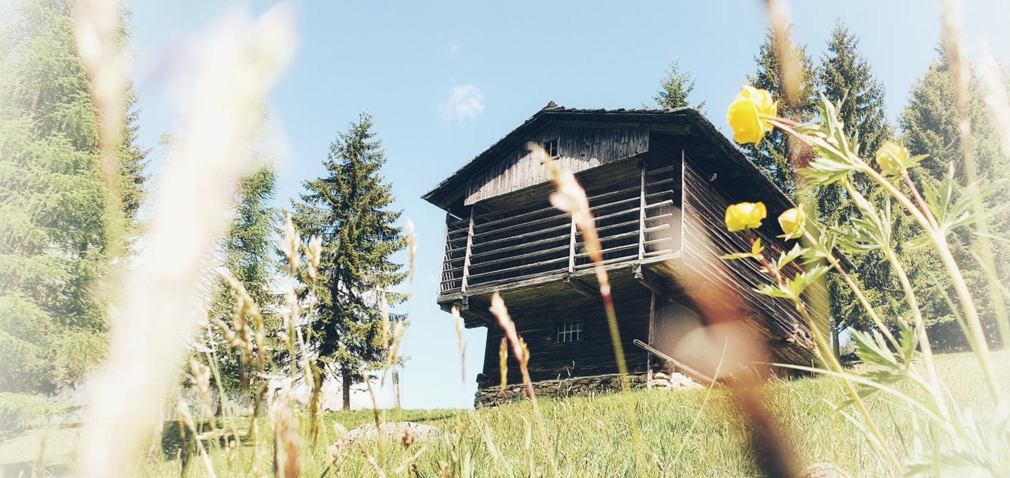 Unser Kleines Bauernhaus マリア・ルッガウ エクステリア 写真